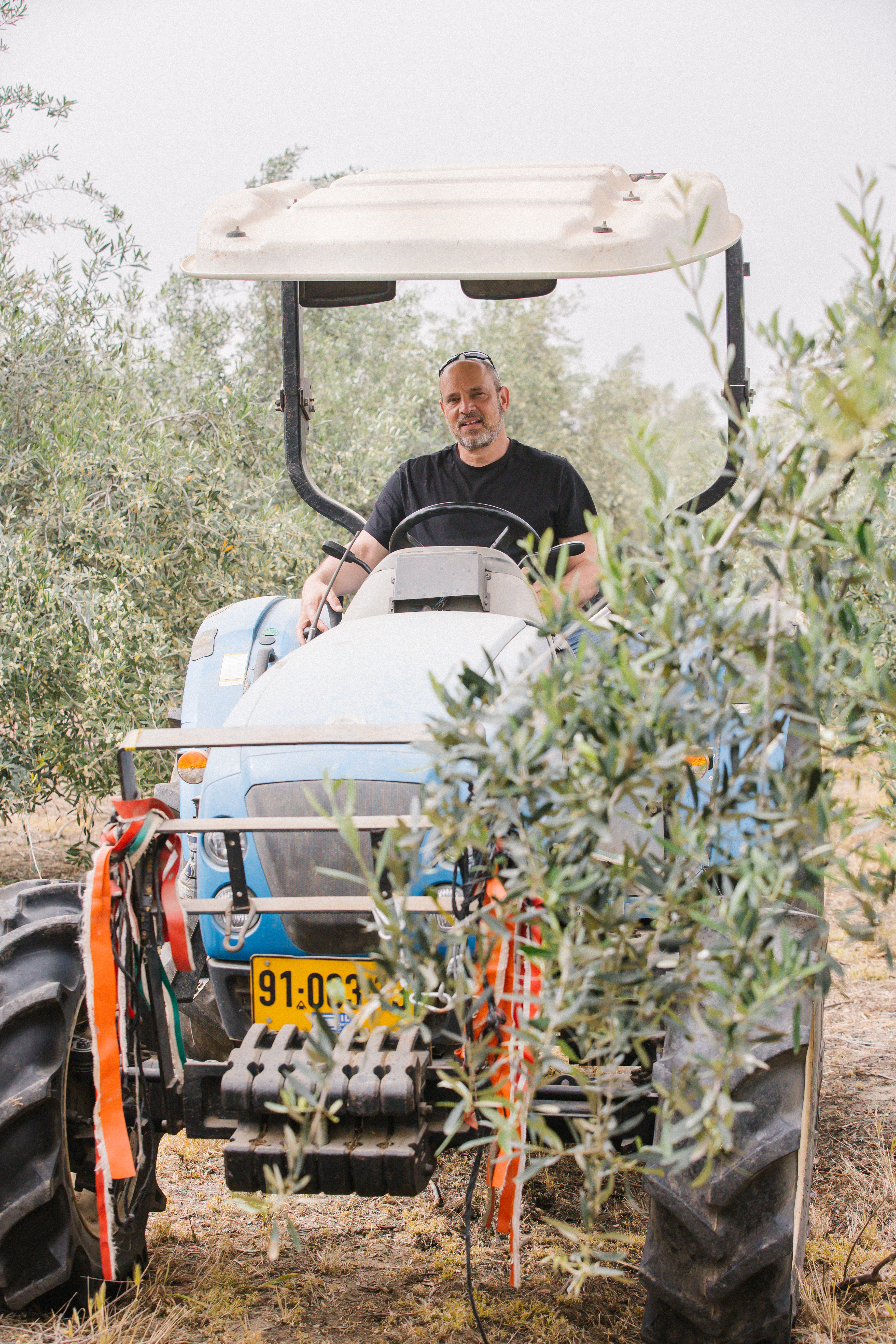 רן בר-אל בנחלה