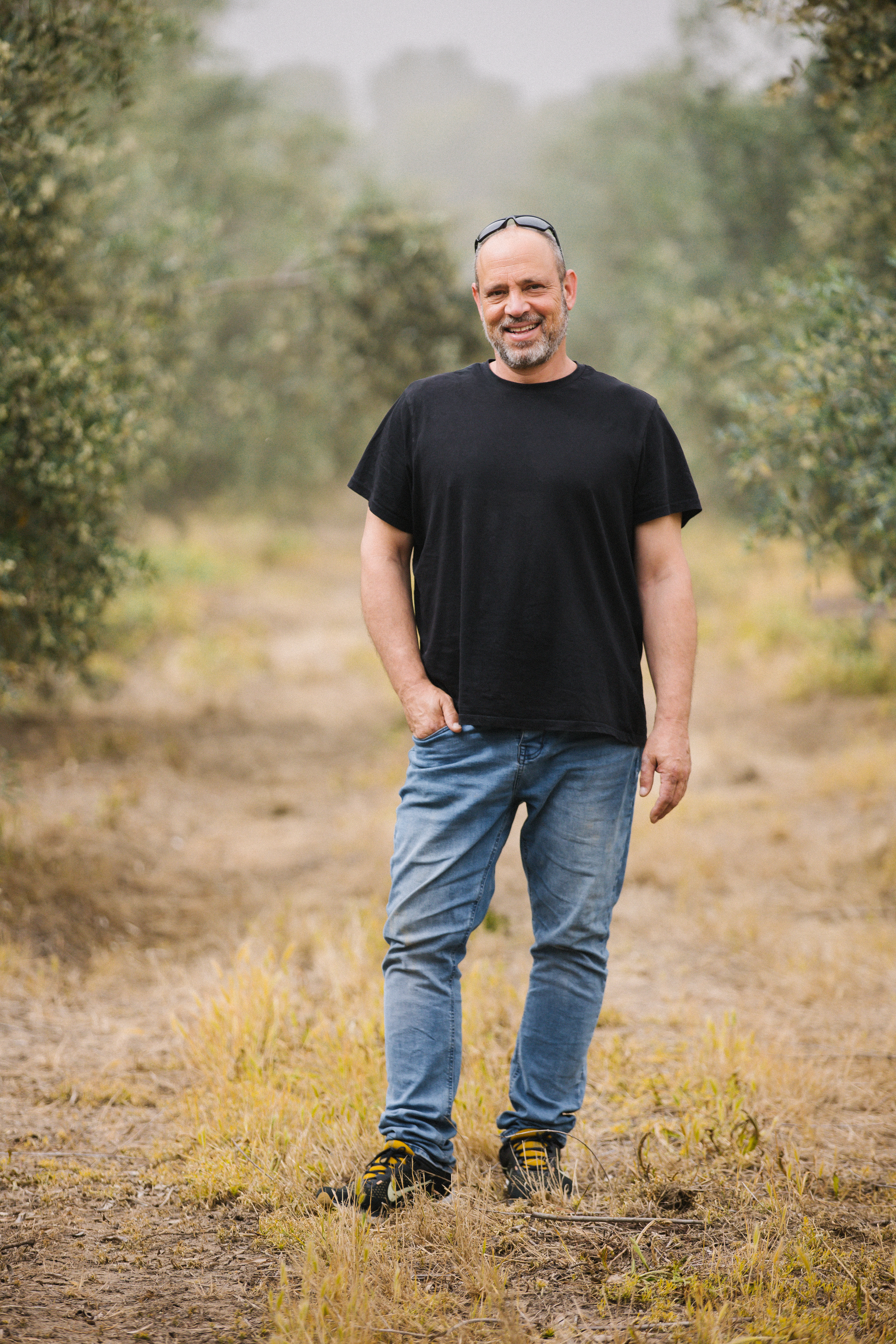 רן בר-אל